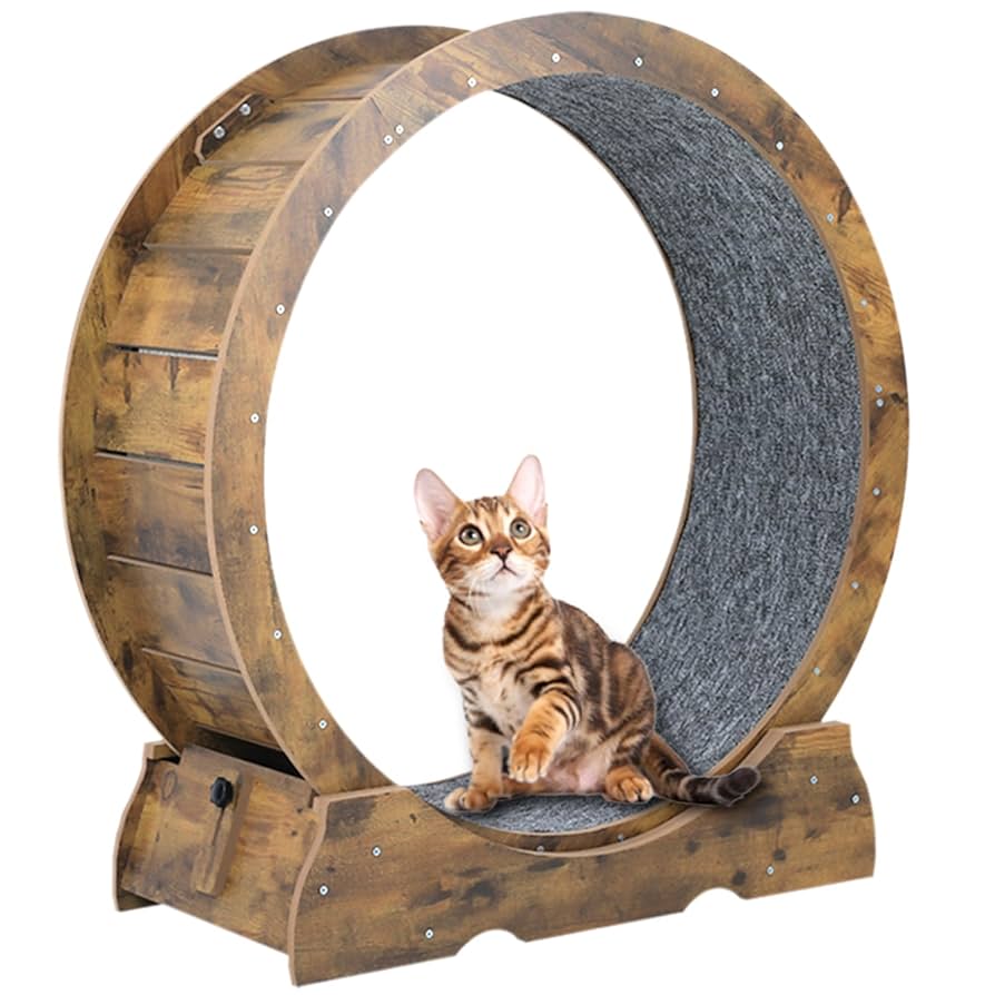 SYKJ Cat Treadmill 直径110cm Amazon.com : Star Cat Wheel, Cat Treadmill, Exercise Wheel